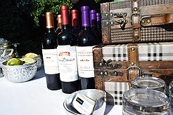 LAUNCH TO VANDERBILT